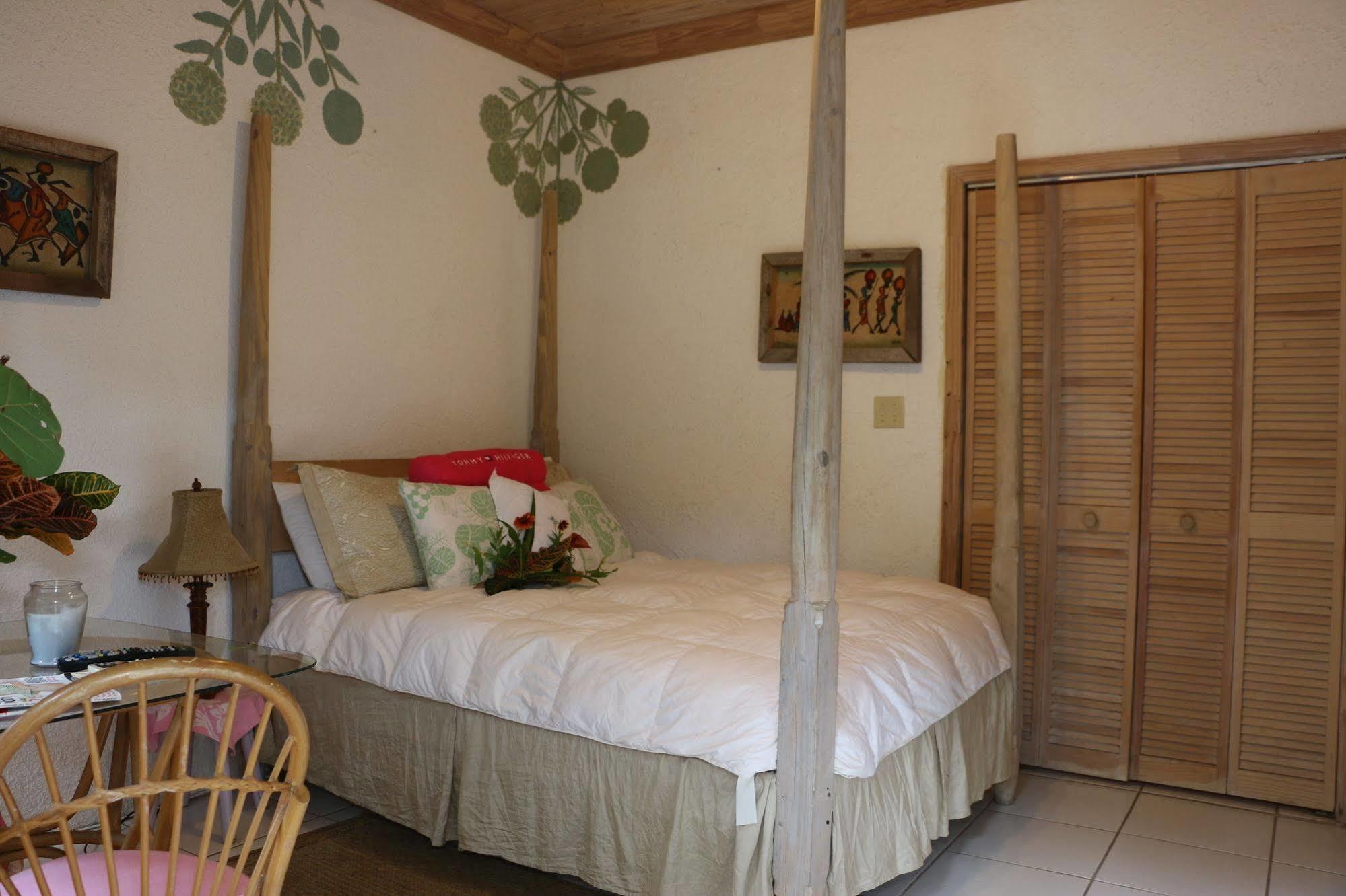 The Sugar Apple Lodging Dunmore Town Exteriör bild