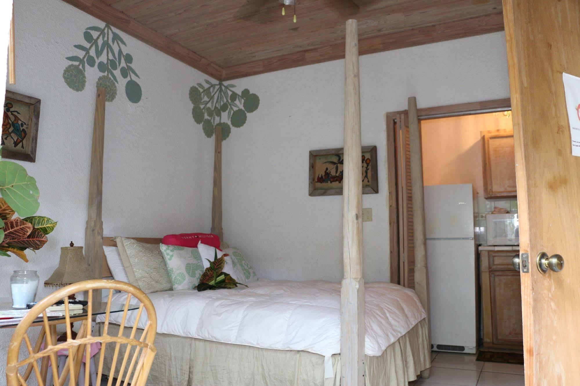 The Sugar Apple Lodging Dunmore Town Exteriör bild