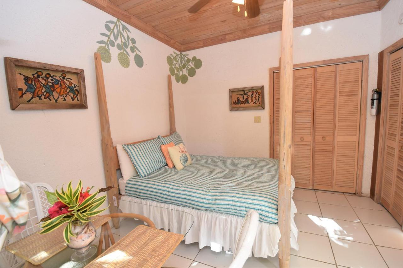 The Sugar Apple Lodging Dunmore Town Exteriör bild