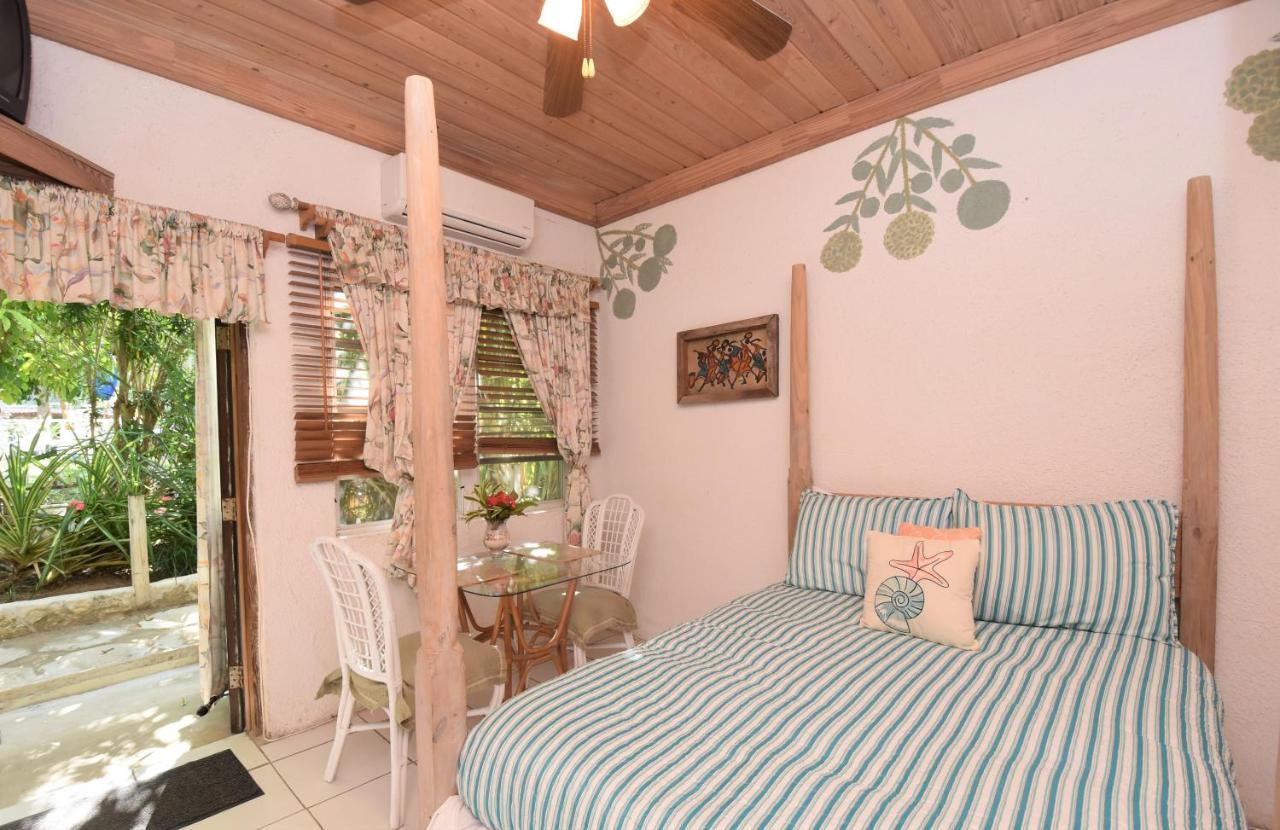 The Sugar Apple Lodging Dunmore Town Exteriör bild