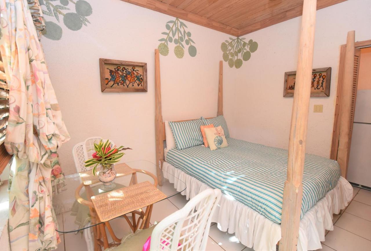 The Sugar Apple Lodging Dunmore Town Exteriör bild